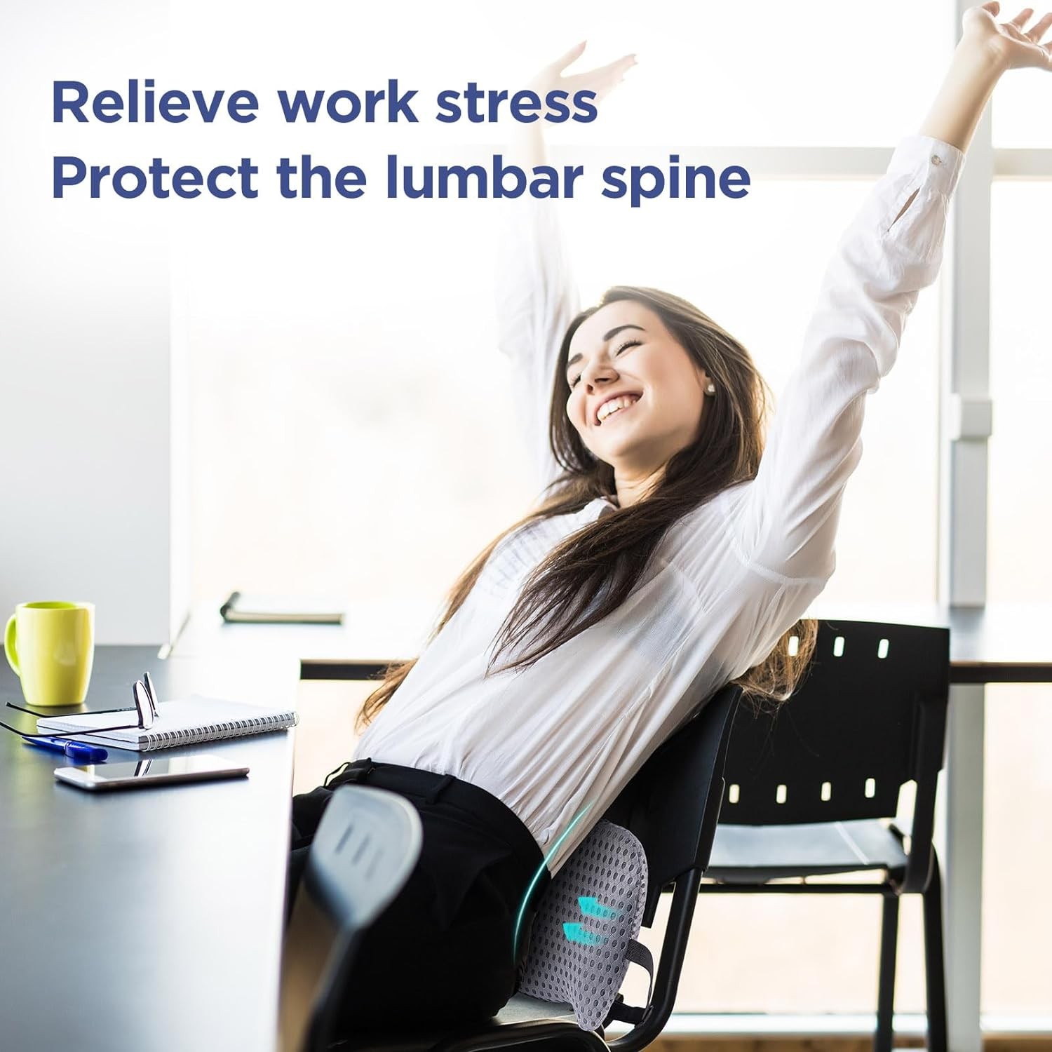 Lumbar Support Pillow for Office Chair, Car Lower Back Black