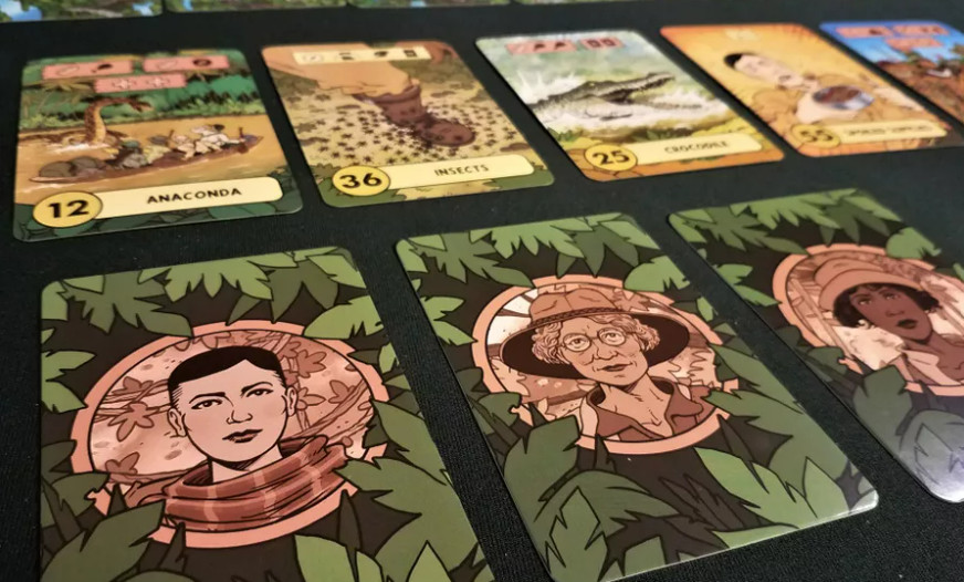 The Lost Expedition Board Game