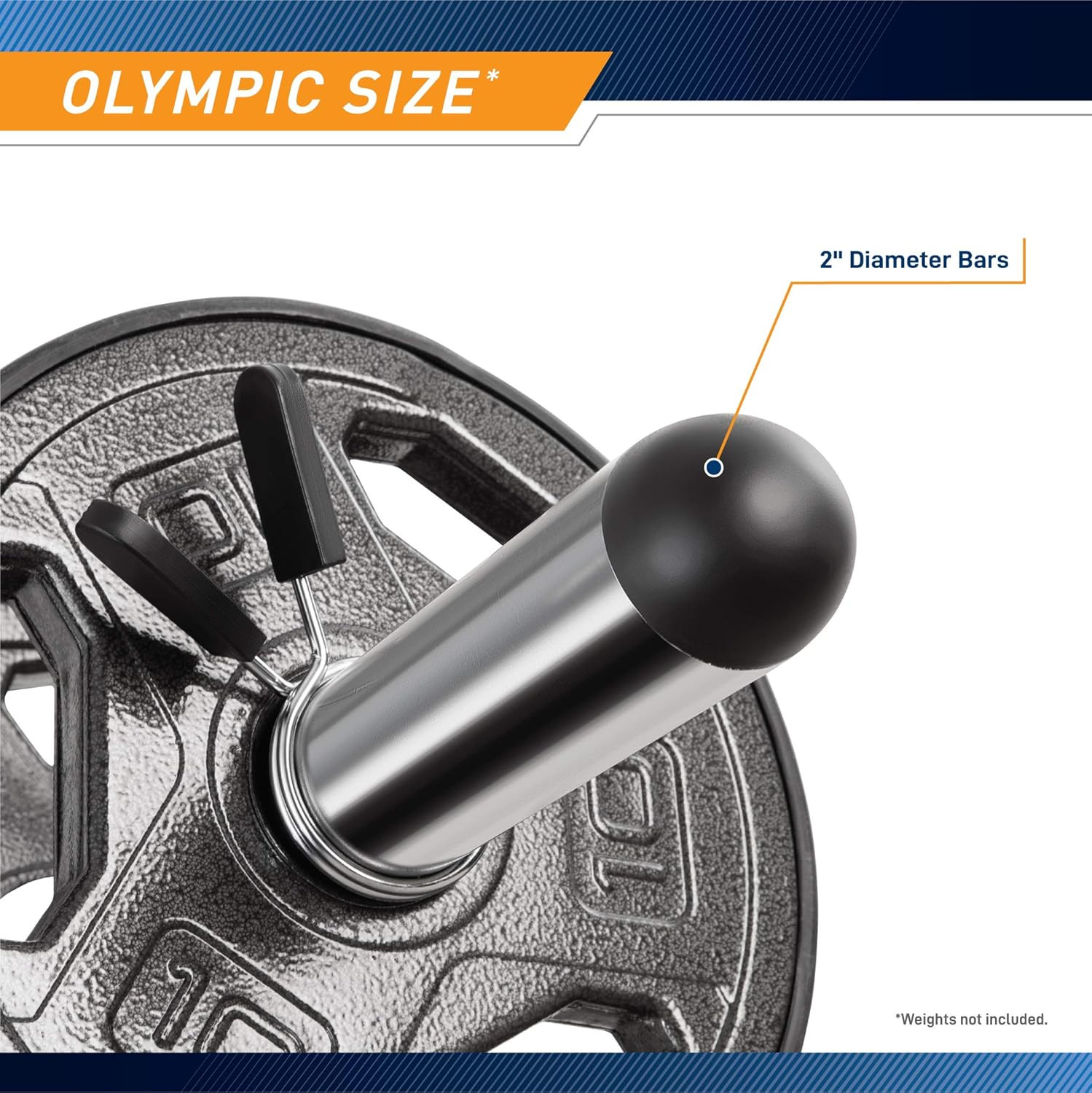 Hollow Curl Bar and Dumbbell Handle Set with Spring Collars