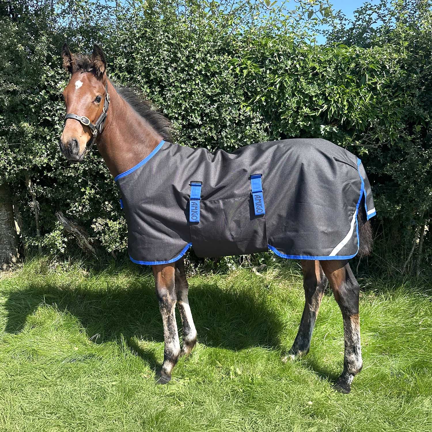 Amigo Ripstop 900 Denier Foal Turnout,