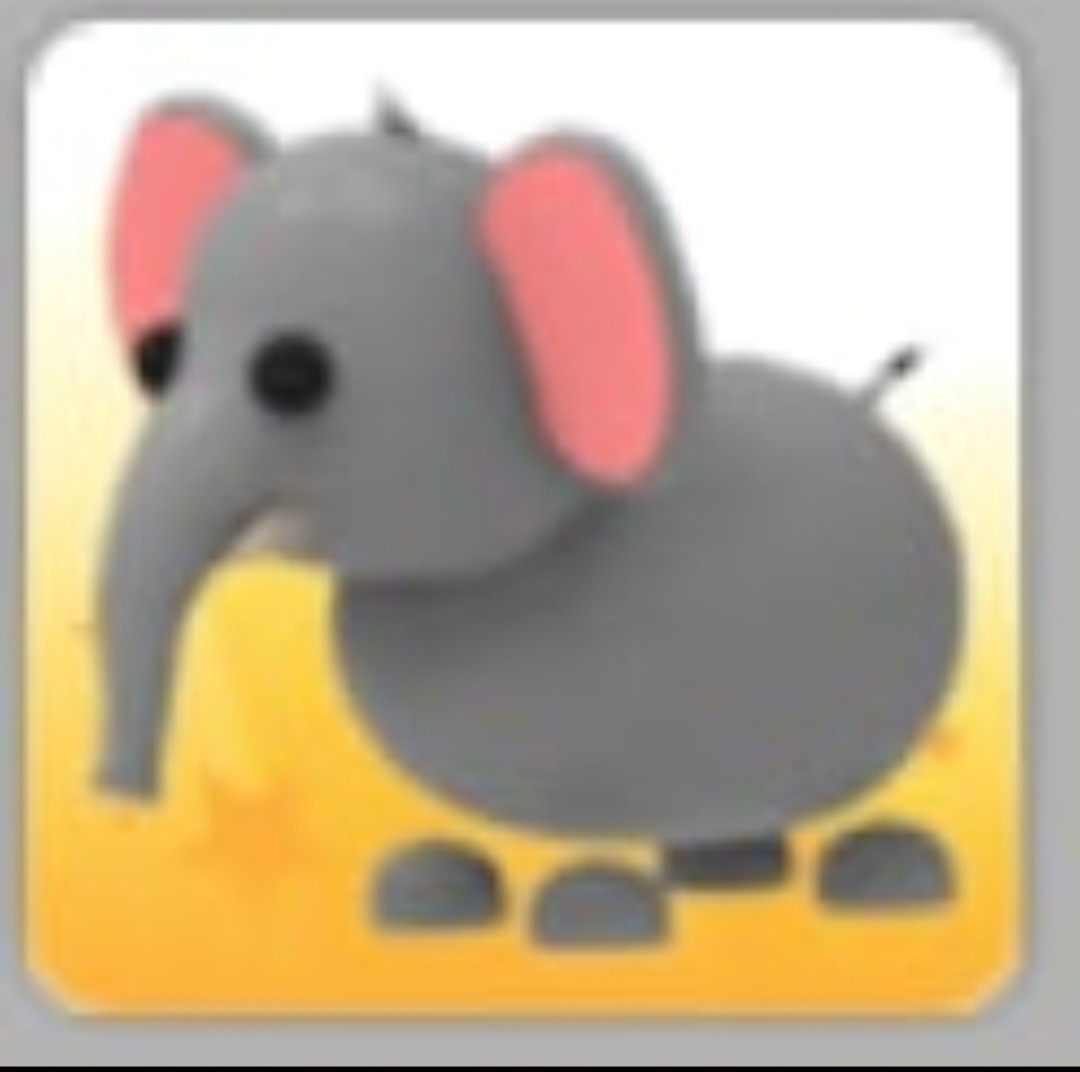 Elephant | Adopt Now