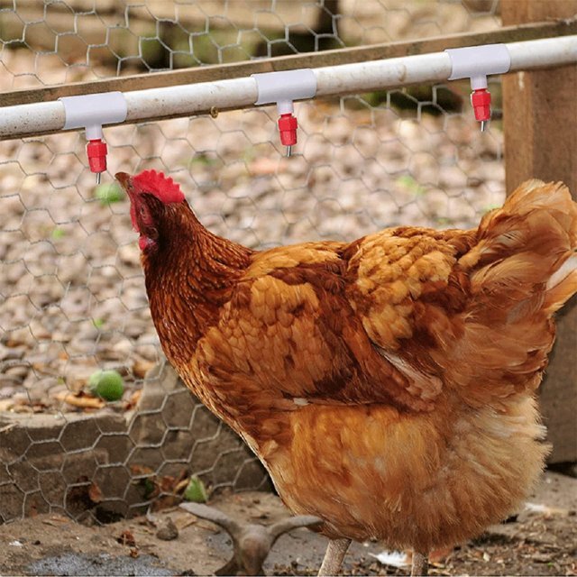 1/2" PVC Tee【50Pack】Automatic Poultry Waterer Drinker Cups Chicken Water Nipples