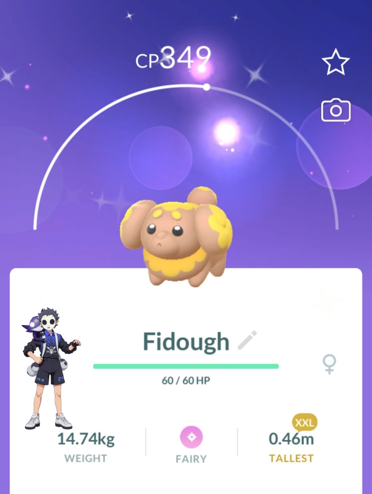 Shiny Fidough XXLPokemon Go T- 20k Or 1M Stardust