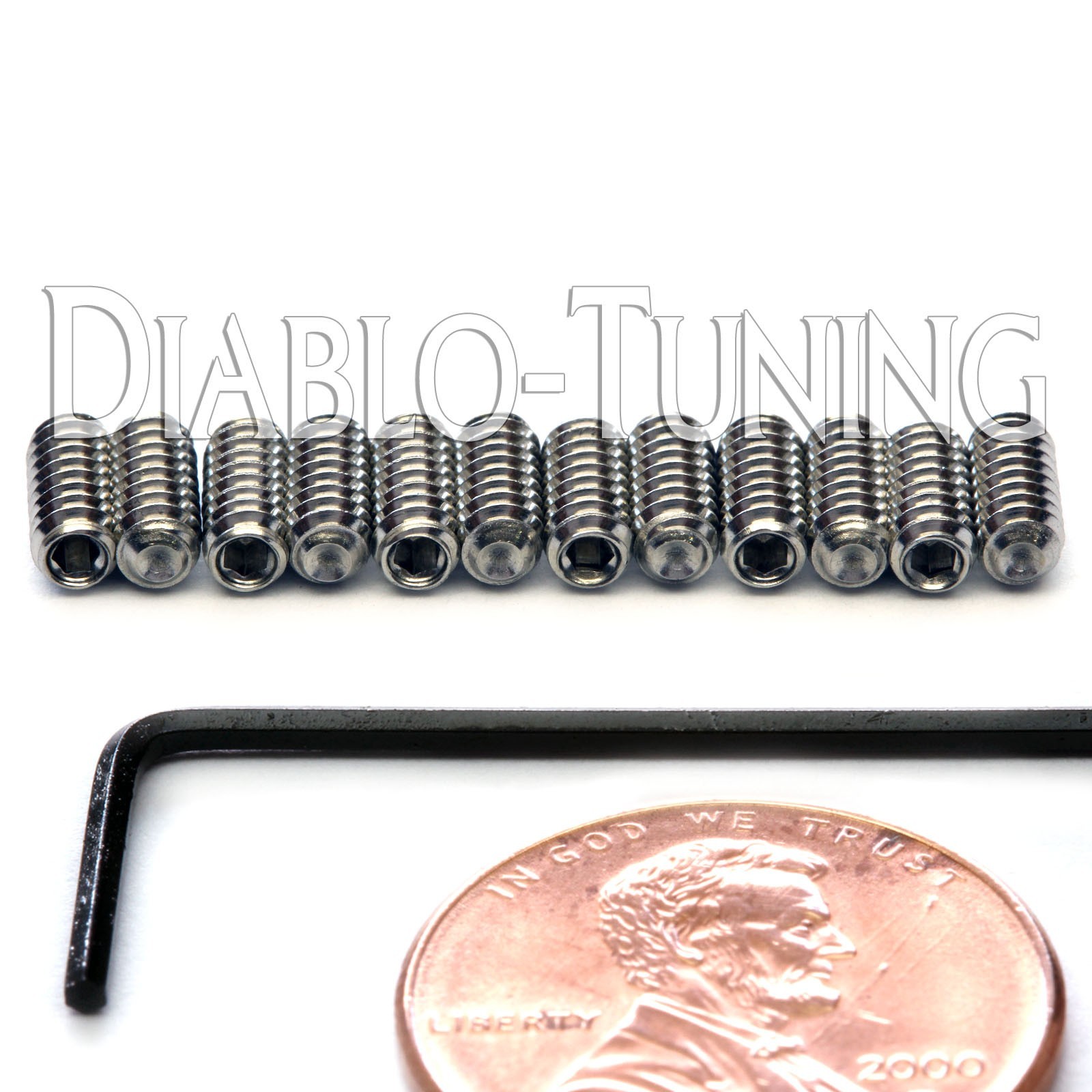 #4-40 x 1/4" Stainless Steel Saddle Height Screws 12 & Hex Key  For Fender Strat