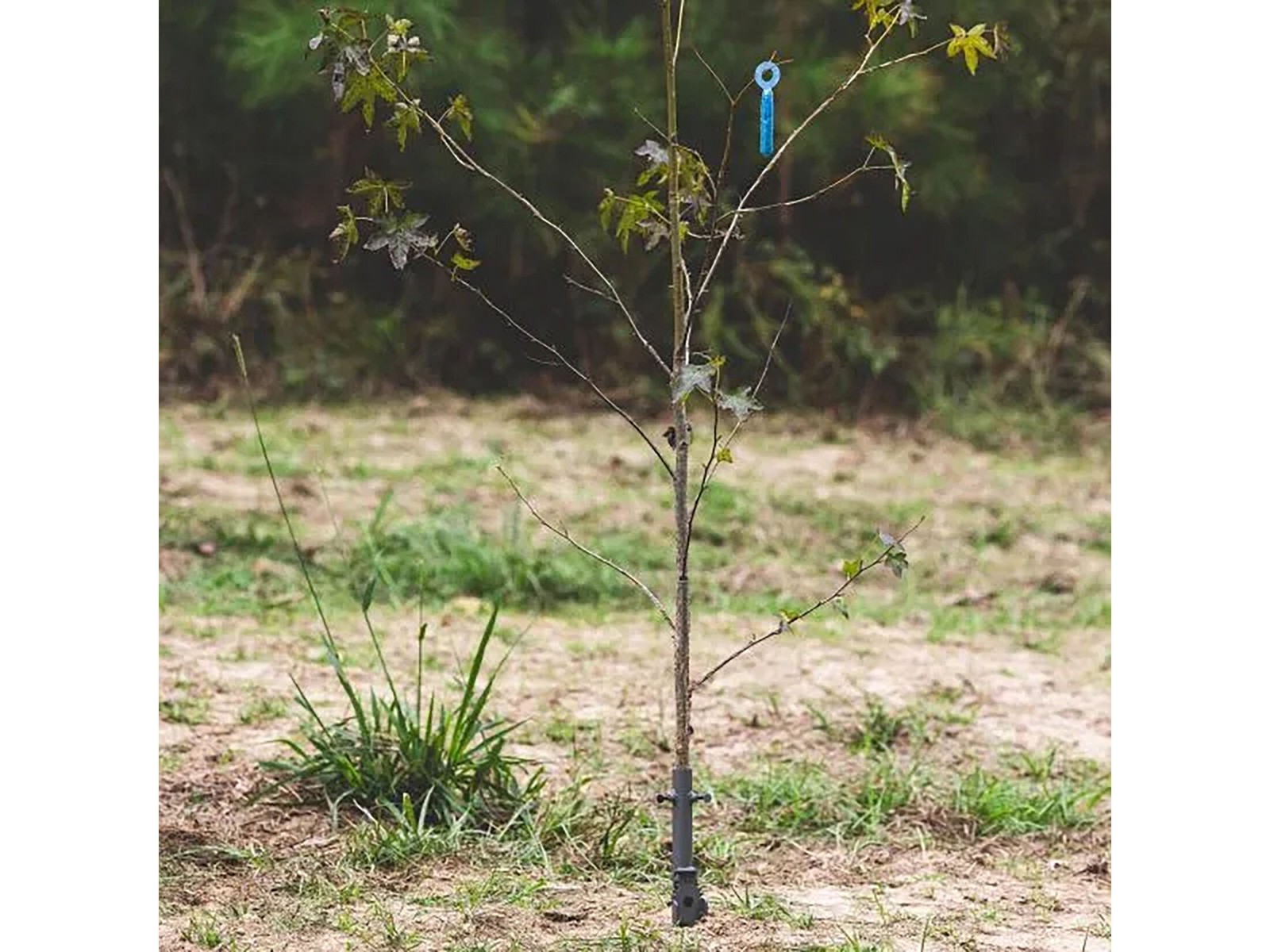 Code Blue Buck Angler Licking Branch Hanger