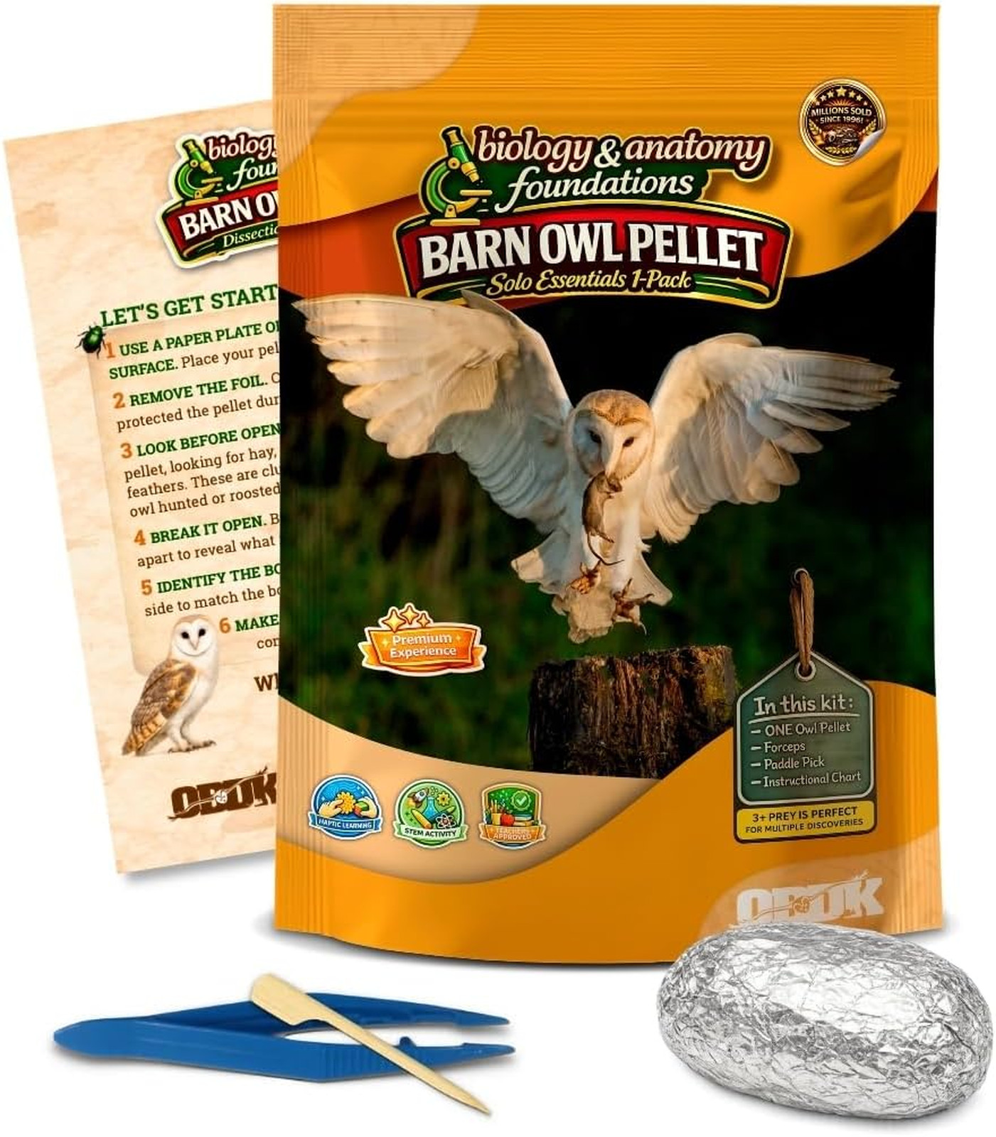 Barn Owl Pellets for Dissection Solo Essentials Kit Large 1 Pack Science