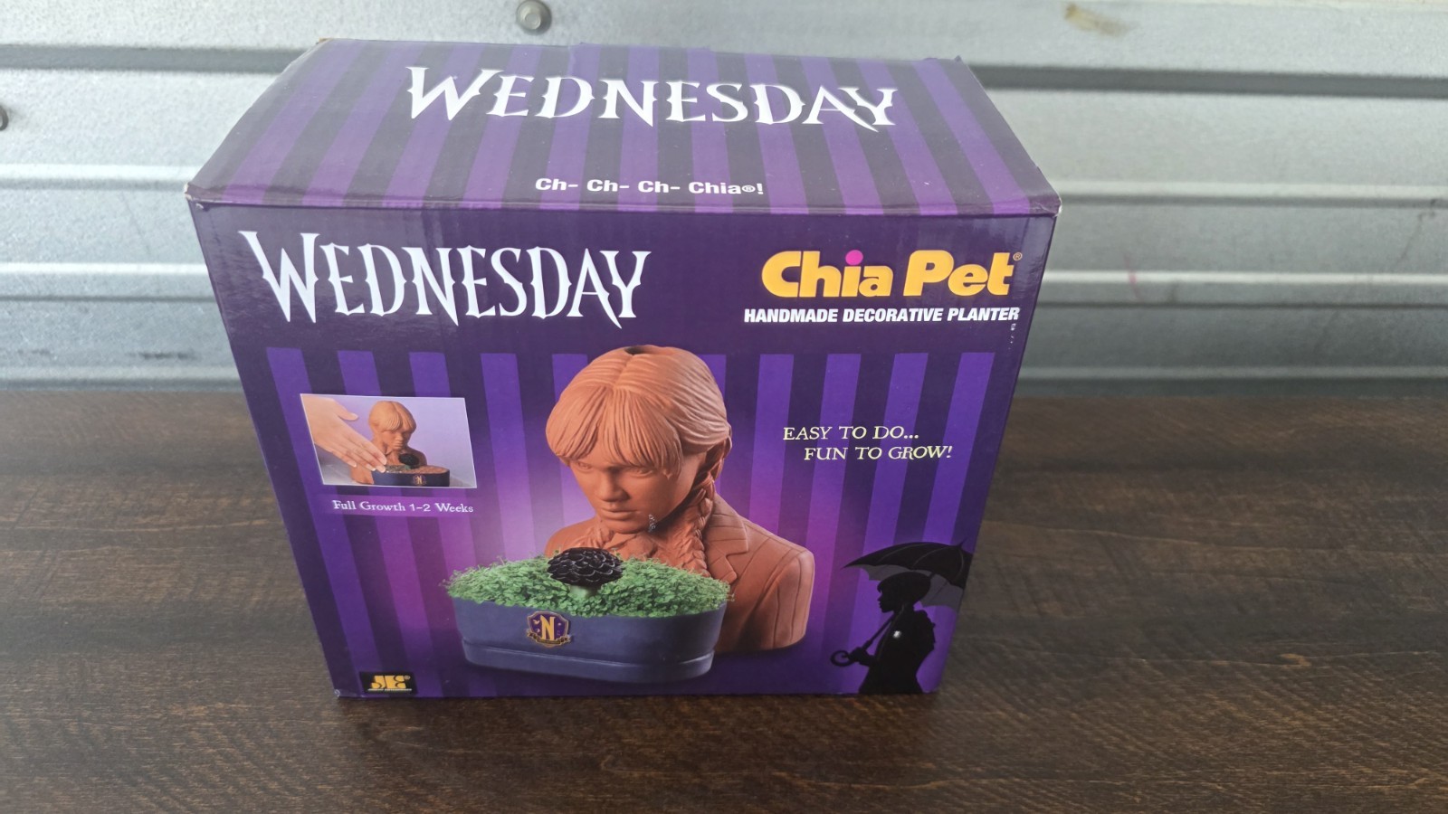 Chia Pet WEDNESDAY Decorative Pottery Planter Addam’s Family NEW in box