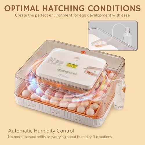 56 Incubators for Hatching Egg Incubator with Automatic Egg Turning and Humid