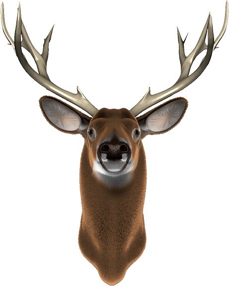 Deer Buck Head hunting cornhole board game decals