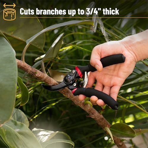 Mr. Pen- Pruning Shears, Garden Shears, 8" Professional, Titanium Blade, Gard...