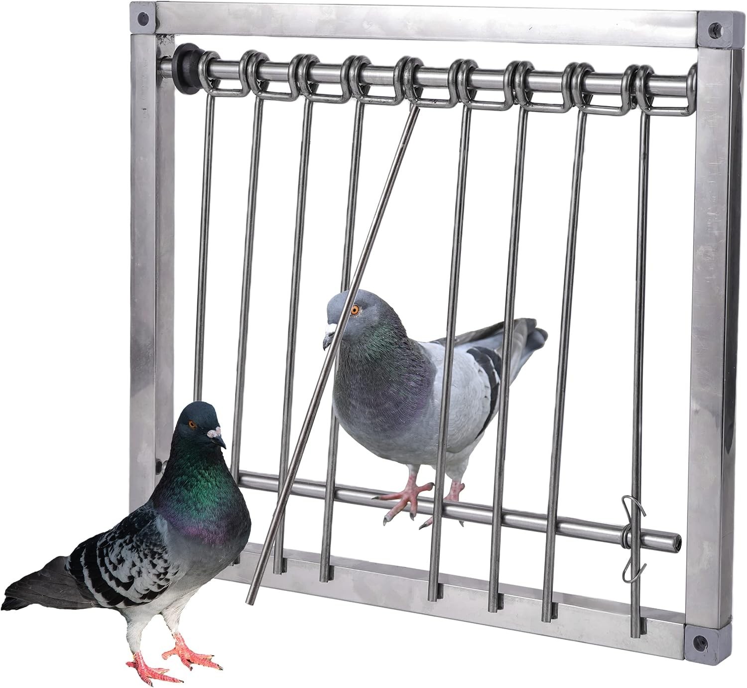 Pigeon Trap Door Stainless Steel Entrance Trap Suitable for Quail Poultry Birds
