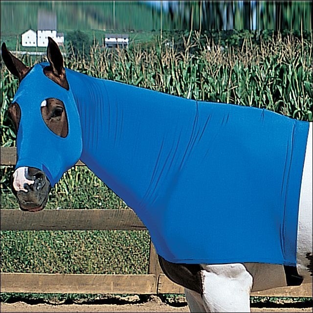 Weaver Equiskinz Lycra Hood Snug Fit Moisture Wicking Blue