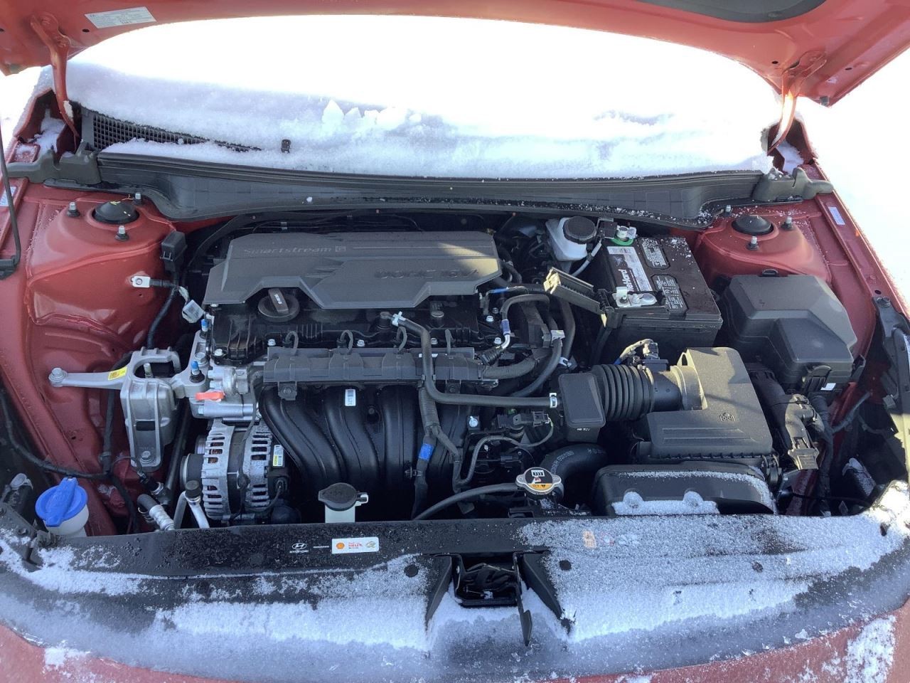 ELANTRA 2021 Glove Box 4938086