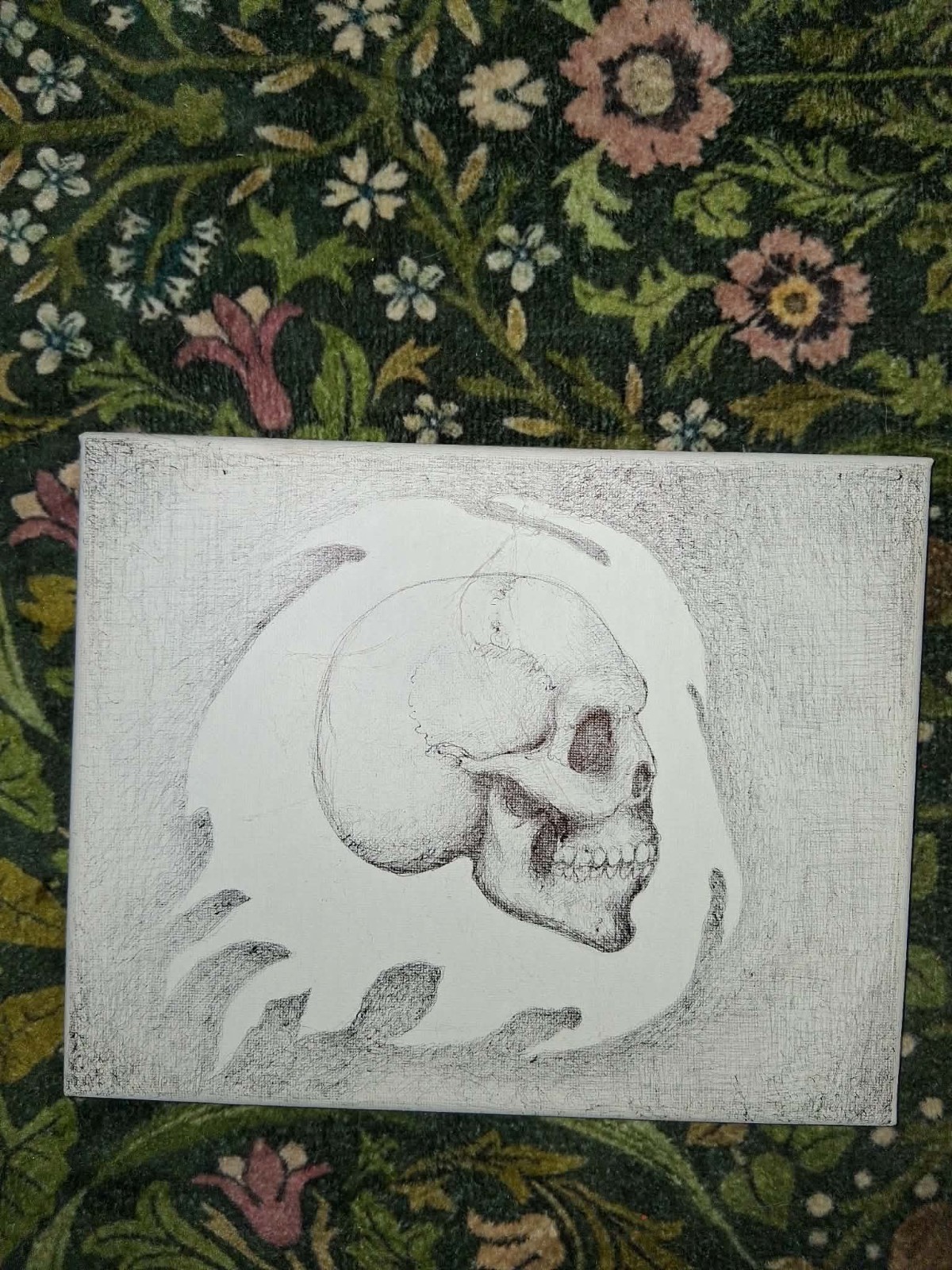 Skull Ballpoint Pen Drawing On Canvas