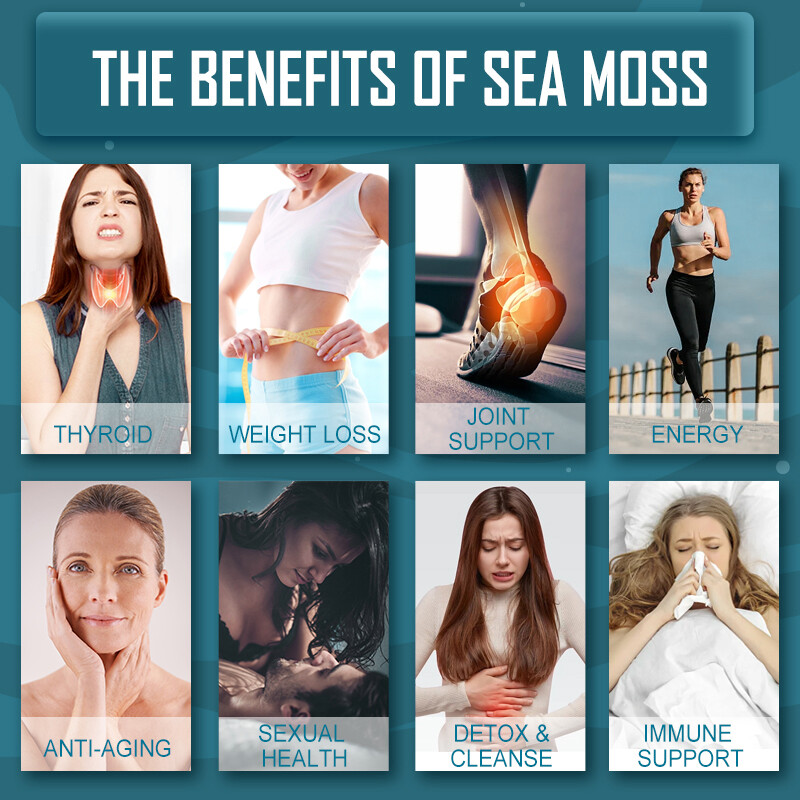 (120 PCS) Irish Sea Moss, Bladderwrack & Burdock, Thyroid, Immune Energy Support