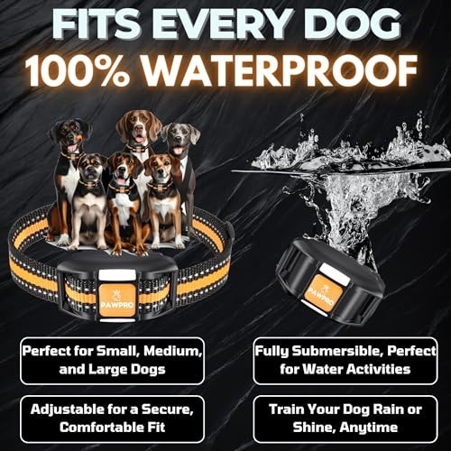 Dog Training Collar with Remote, Waterproof, Rechargeable, 4 Modes