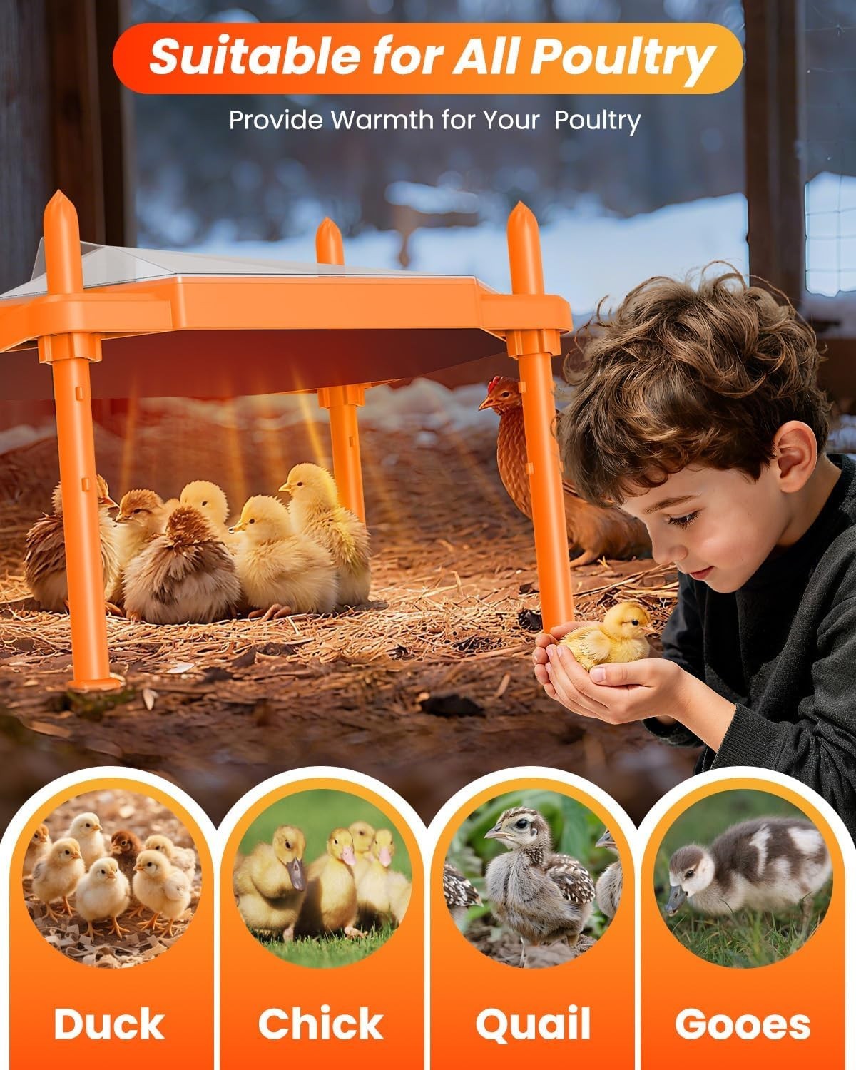 Chick Brooder Heating Plate 14"x11" - Adjustable Warmth for 18-22 Chicks