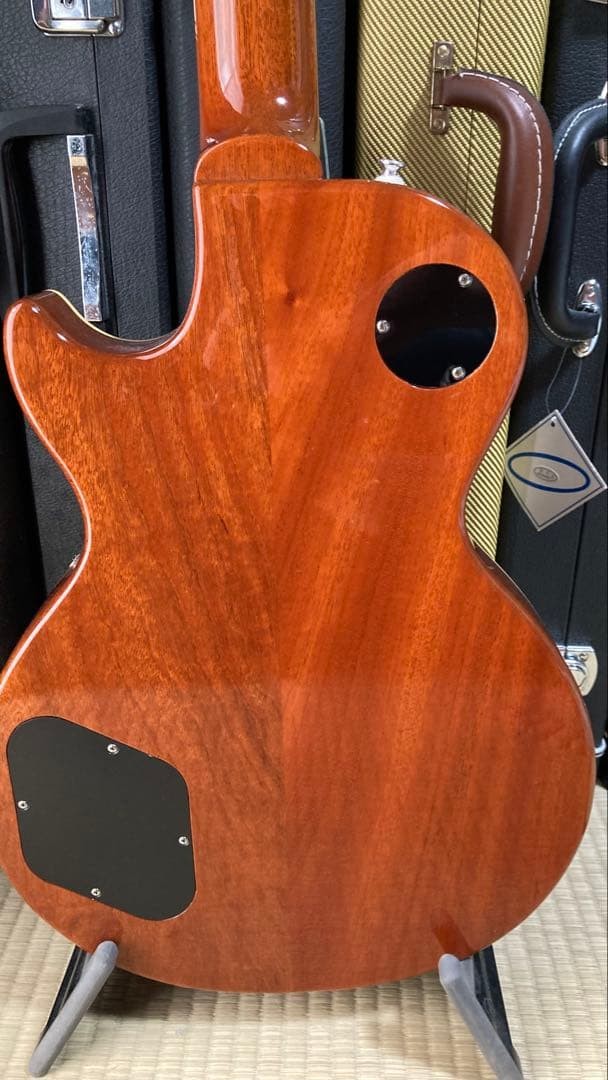 Bacchus Bls-Fm2 Around 2017 Order Model