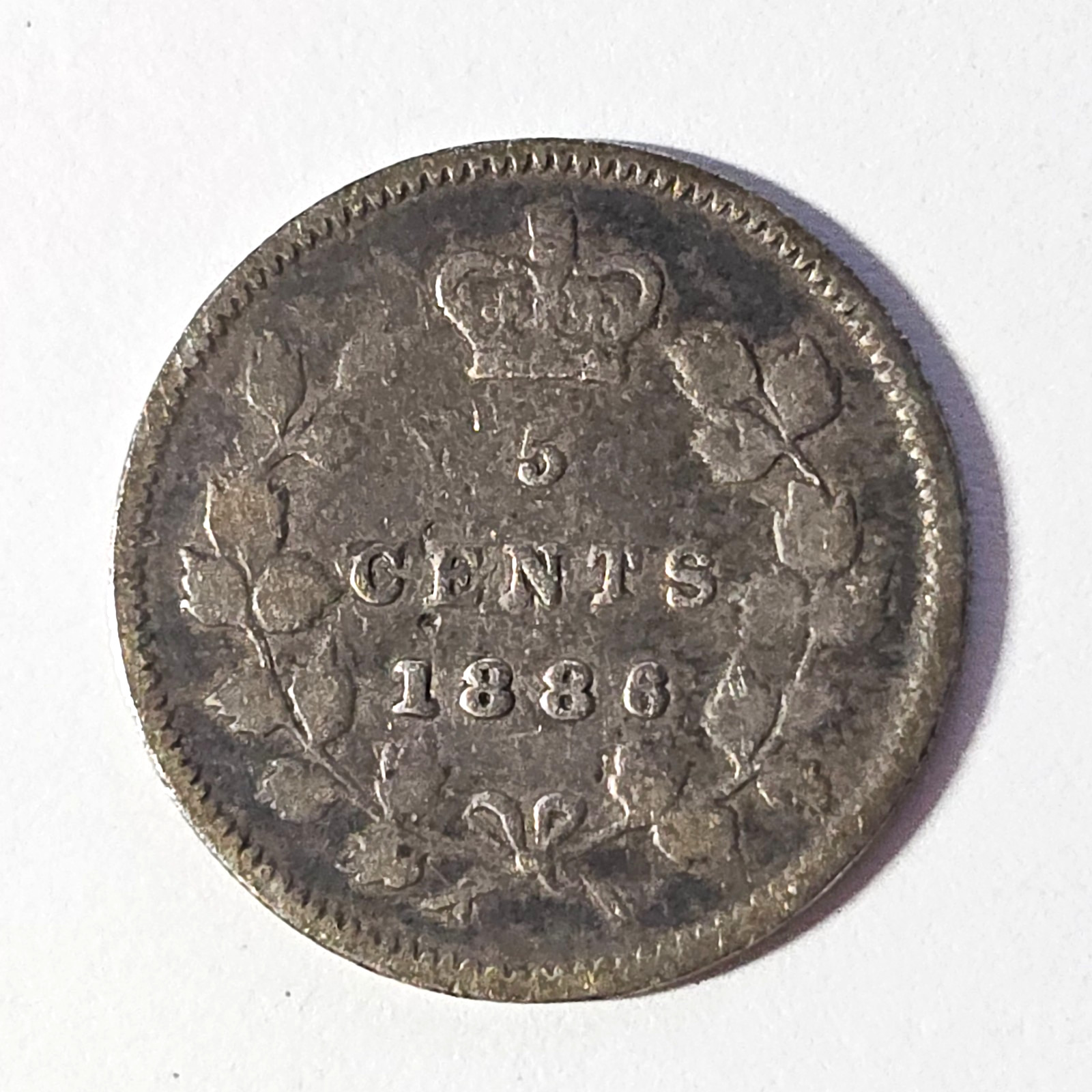 1886 - SMALL 6 - Canada 5 five cents SILVER - COMBINE to SAVE - C5-447
