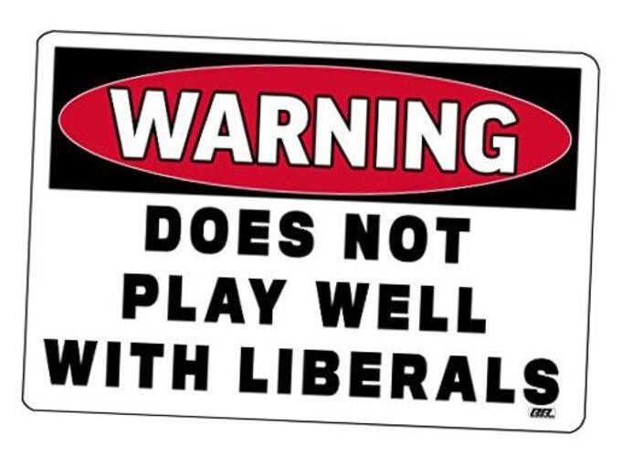 Warning Does Not Play Well with Liberals Gun Cleaning Mat Bench Pad Gift for