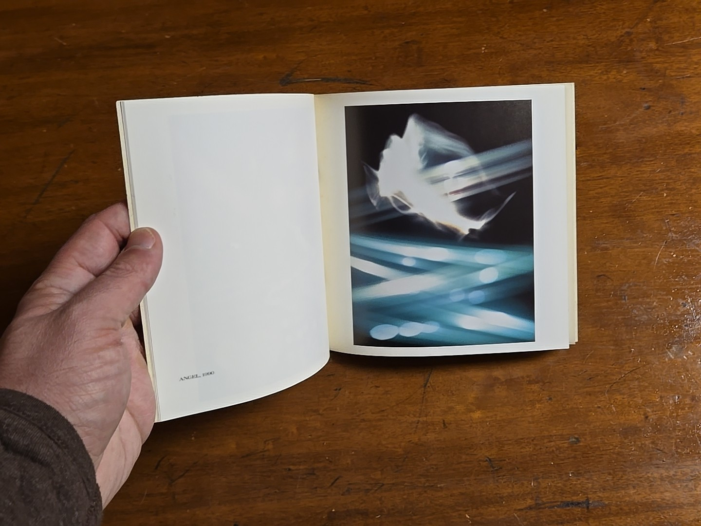 Frank Majore, Art Catalog 1991, Holly Solomon Gallery