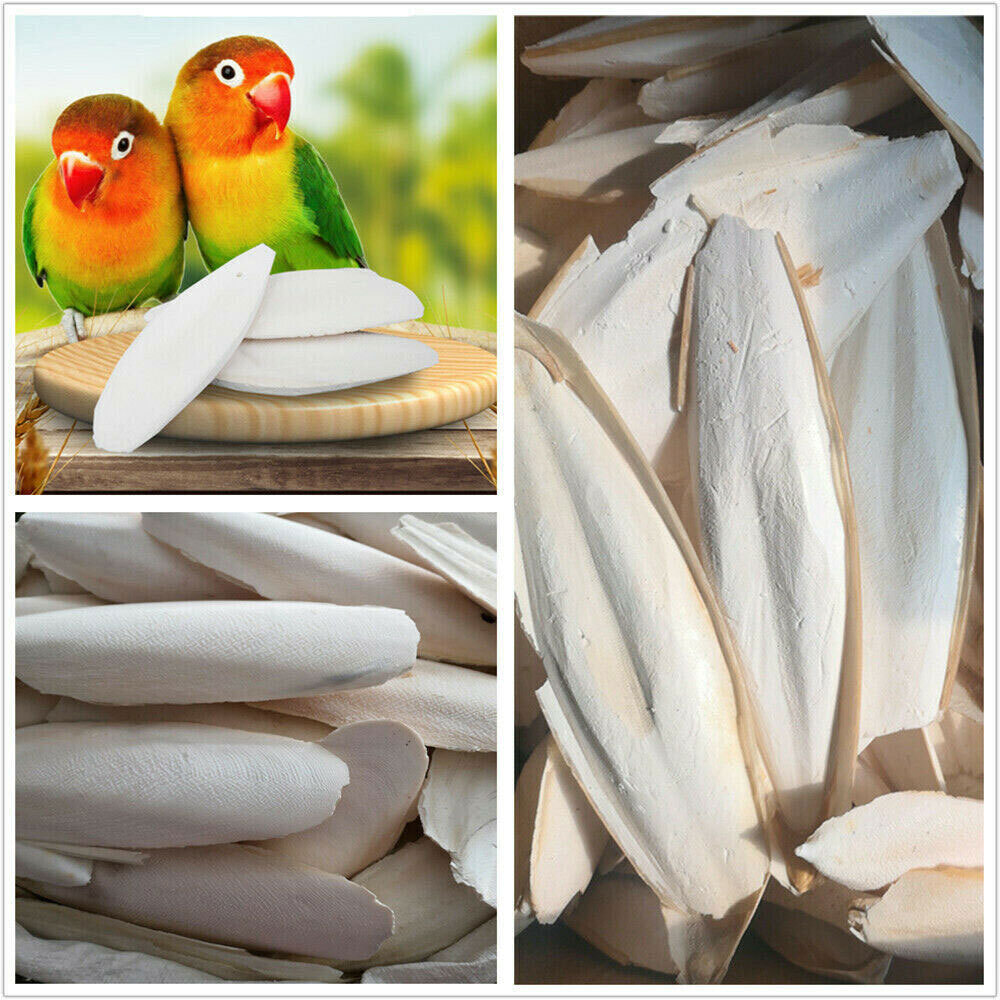10-20Pc Cuttlebone for Birds Parrot Chewing Cuttle bone for Sharp Beaks 2.4-3.1"