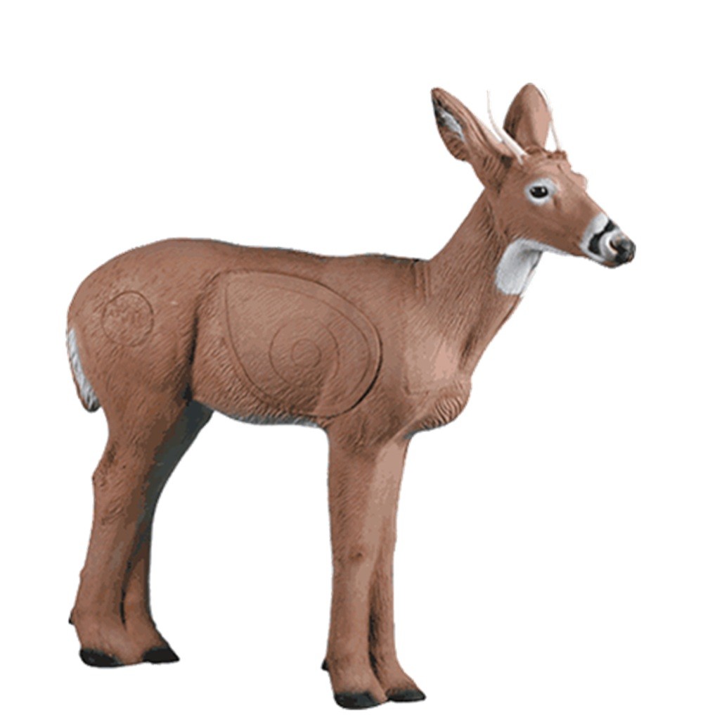 Rinehart Competition Series Spike Buck Archery Target IBO Scoring
