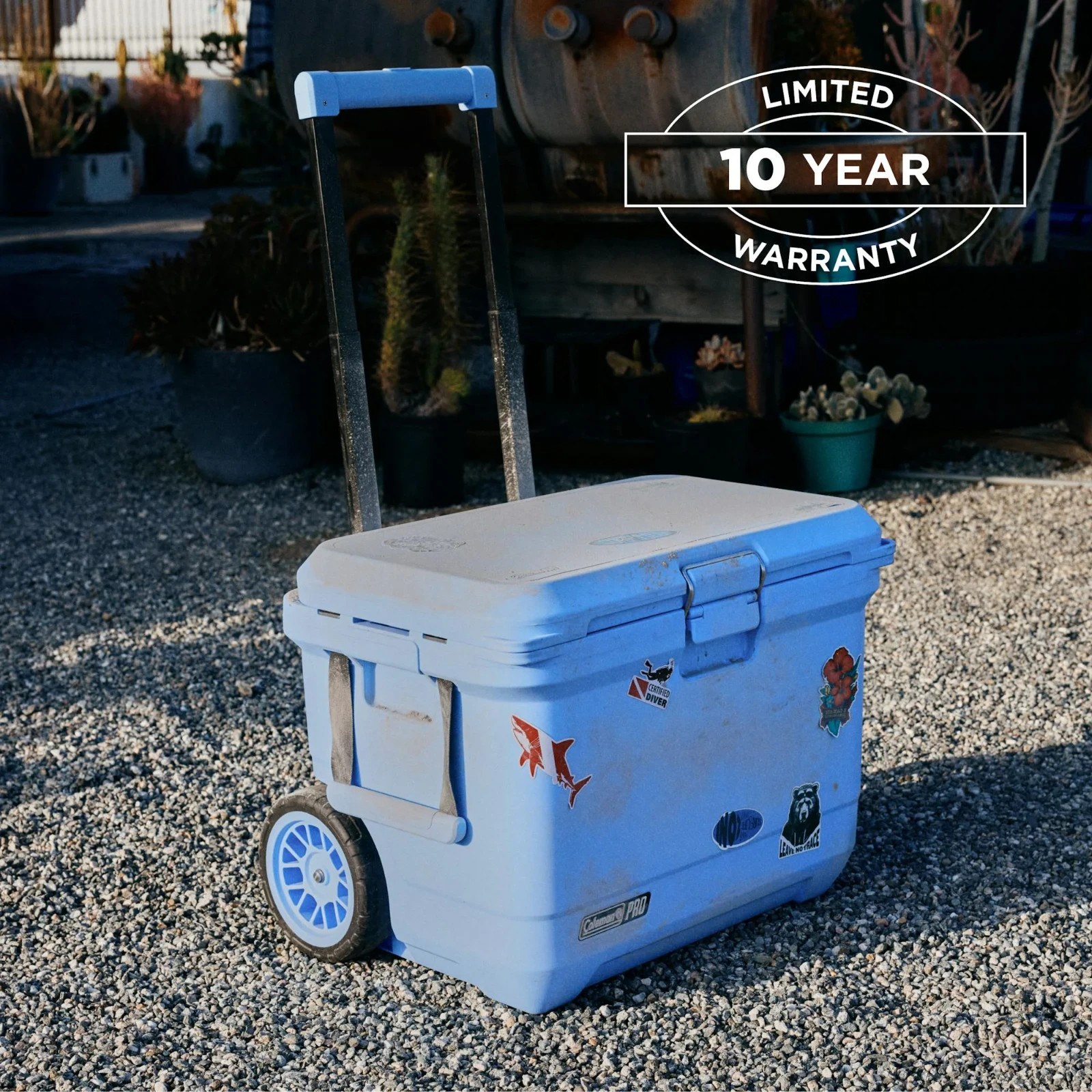 Coleman Pro 55qt Hard Sided Cooler Blue Sky