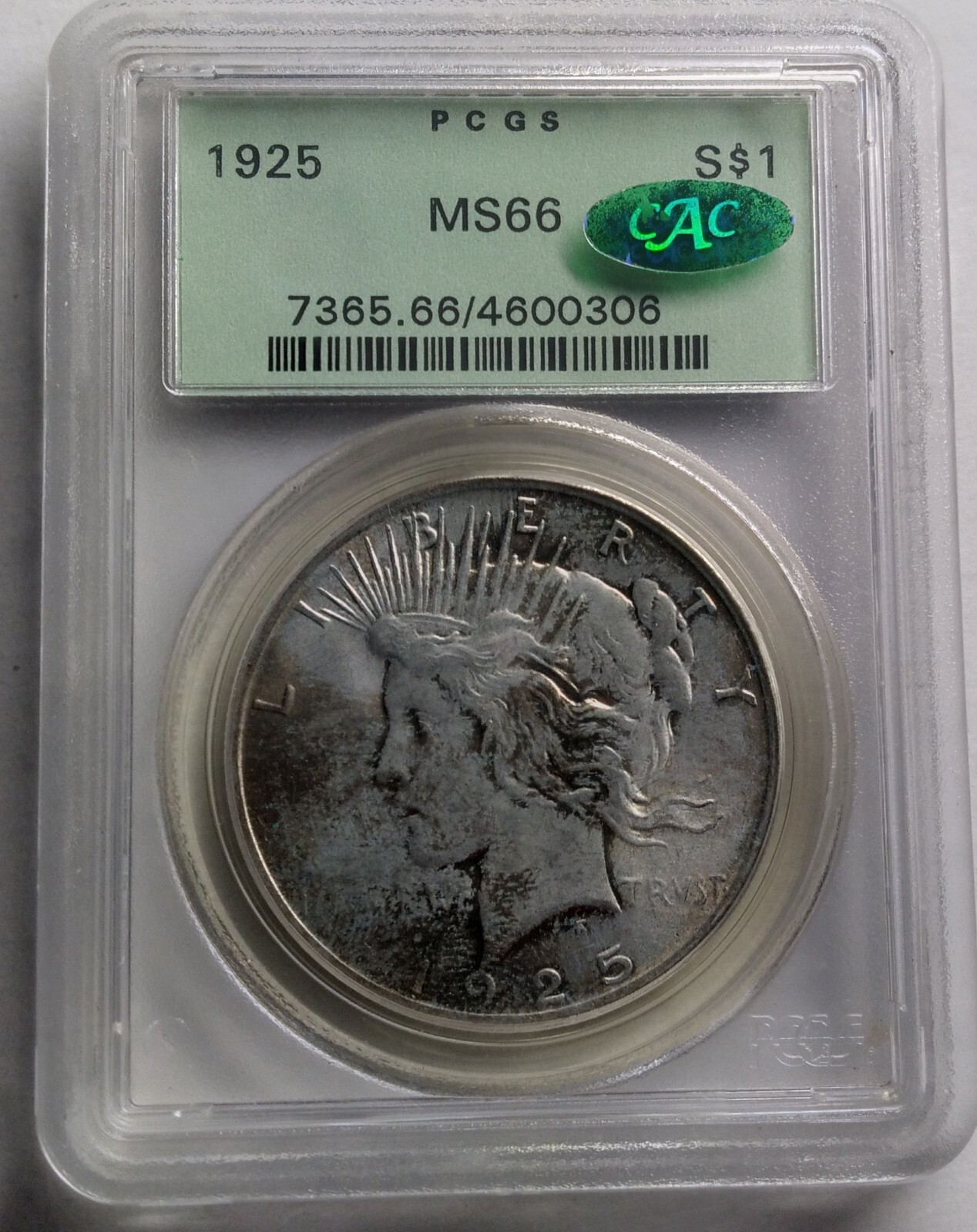 1925 P Peace Dollar PCGS MS-66 CAC,  Great toning effect, Mark Free!