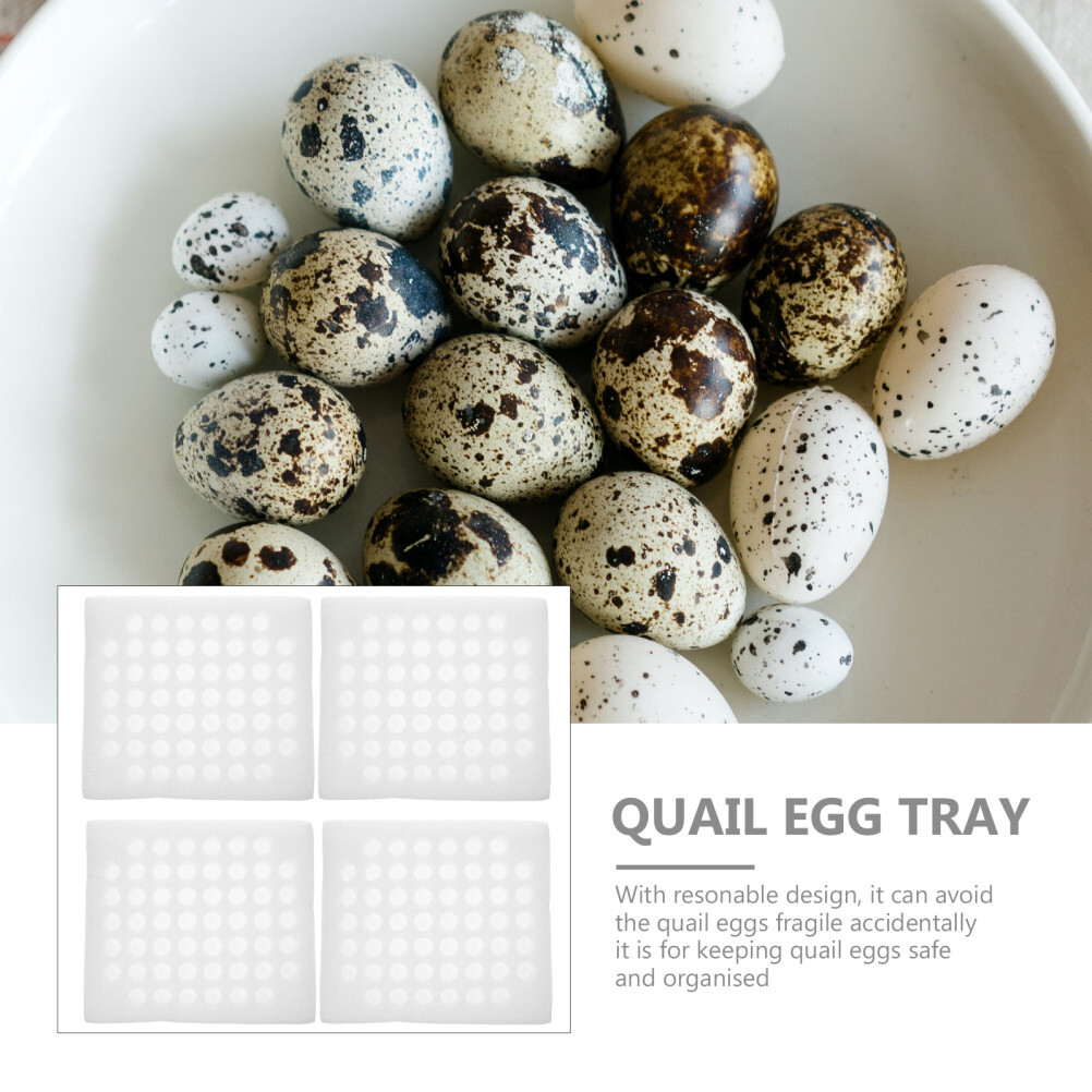 2 Sets Egg Tray Packaging Quail Stand Holder Reusable Boxes Storage Container