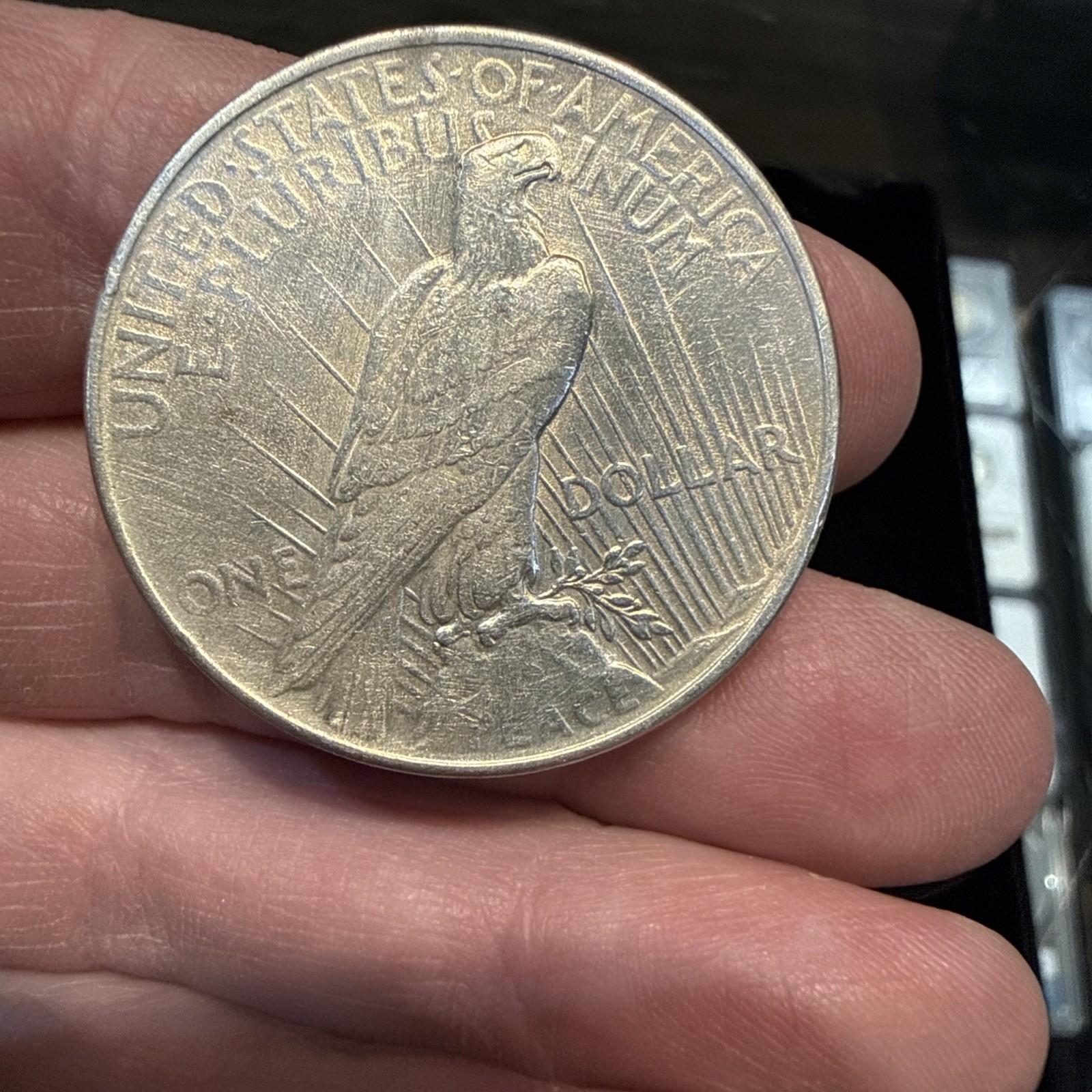 Lot Of 5 Peace Dollars