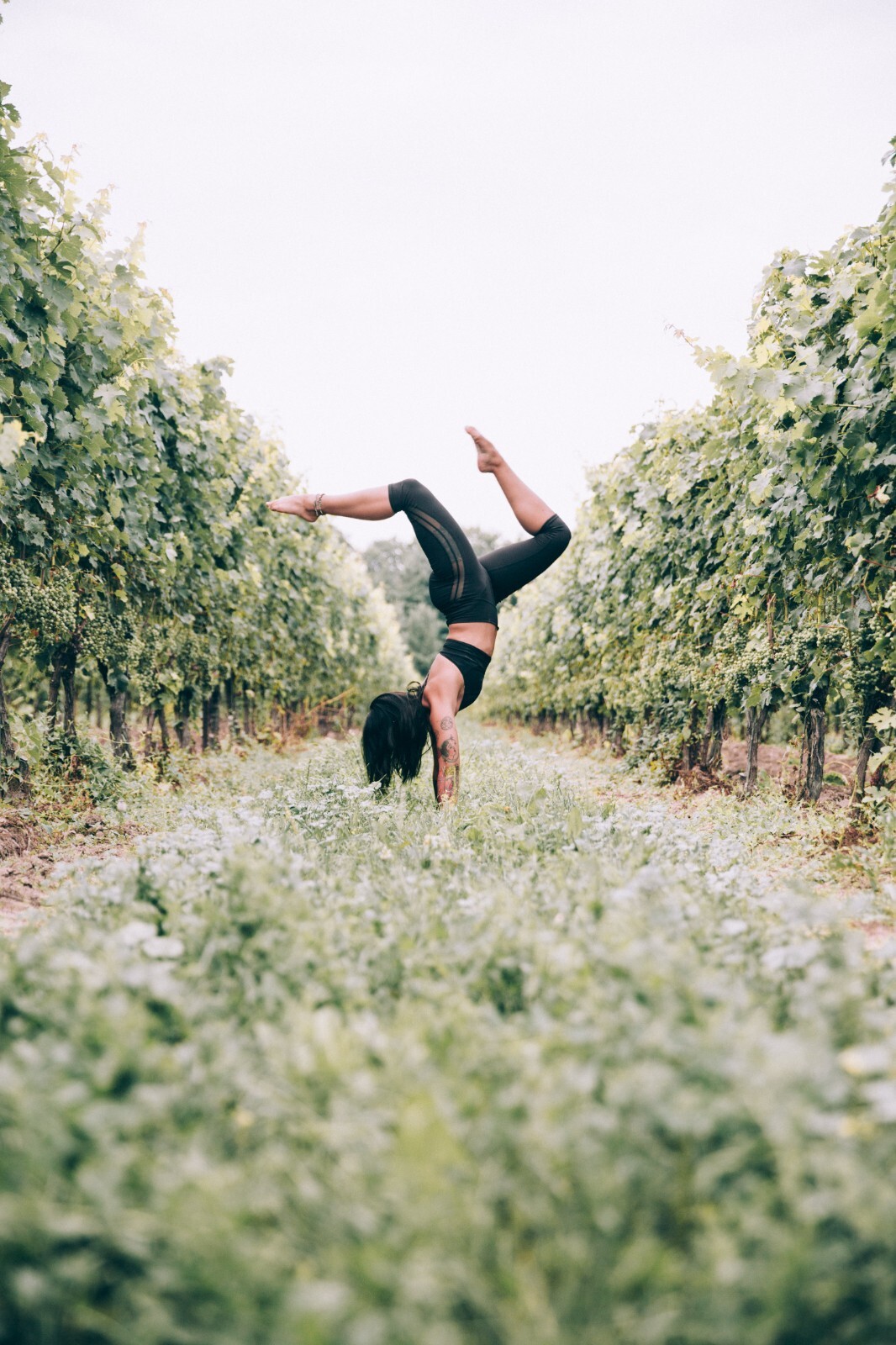 Vineyard fun