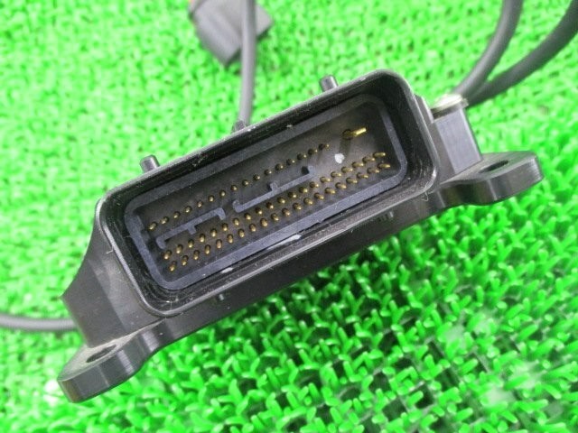 Thunder Max 309-362 EFI ECM Module Harley Used from Japan