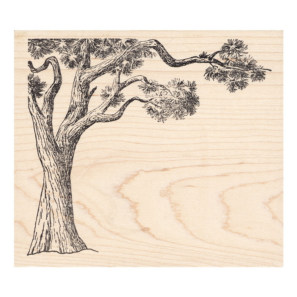 Joshua Tree Beeswax Rubber Stamp Mounted Scenic Landscape Southwest