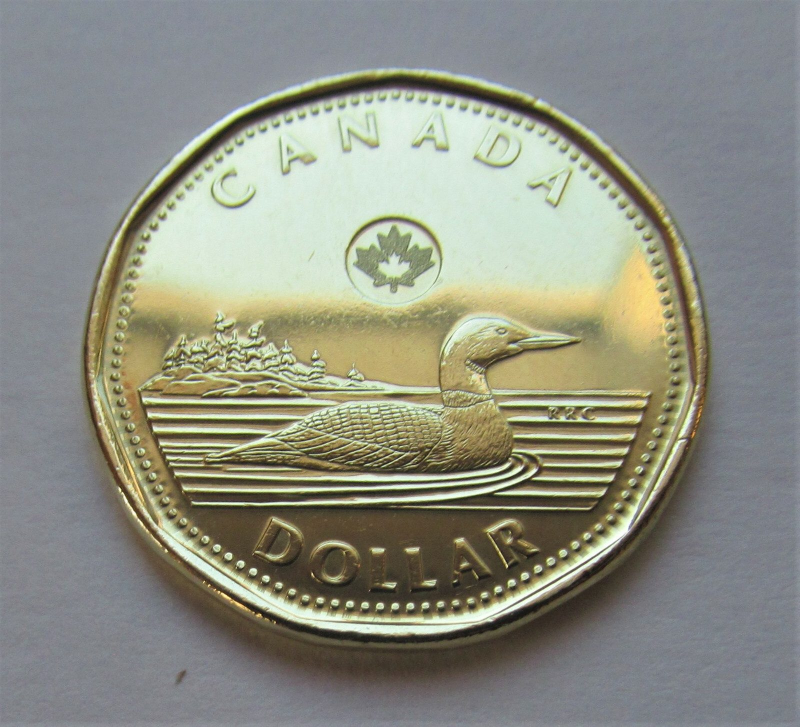 2012 CANADA 1 DOLLAR LOONIE - combined shipping