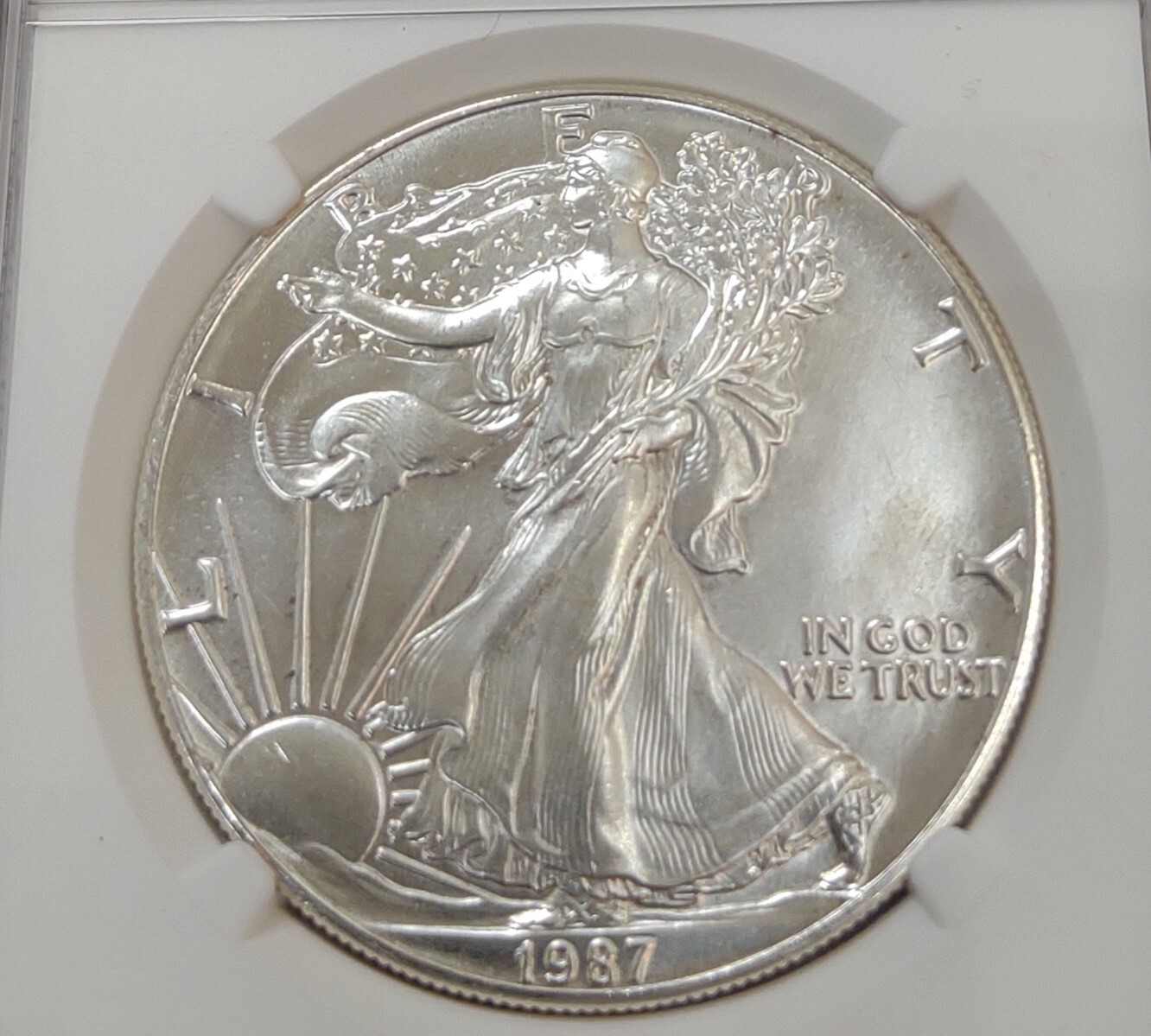1987 AMERICAN SILVER EAGLE! GRADED MS69 BY NGC!