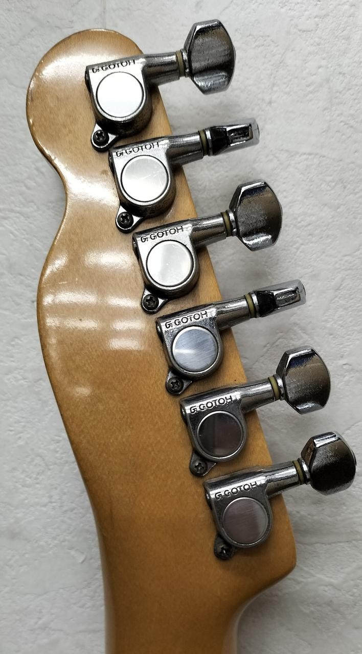 FENDER TL72-55 (NO251005)