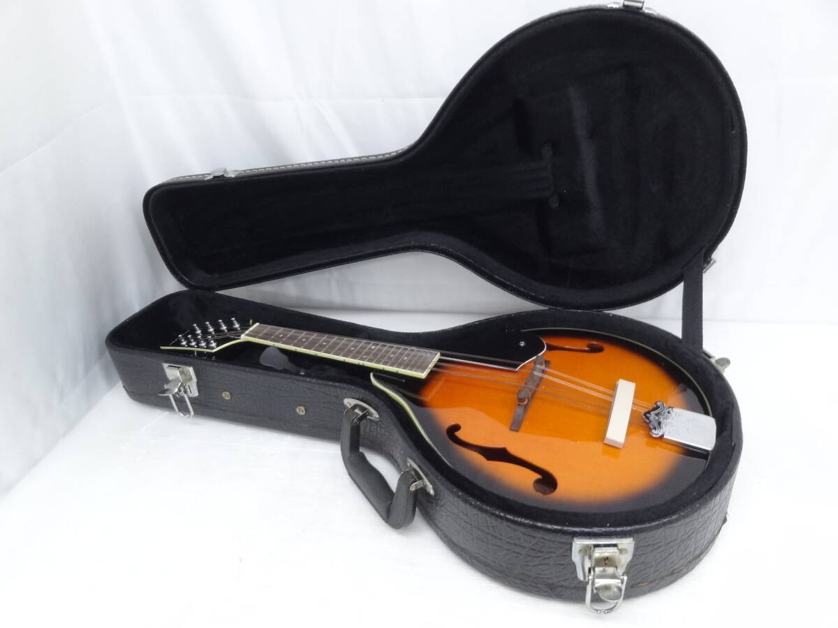 ARIA Aria flat mandolin AM-20