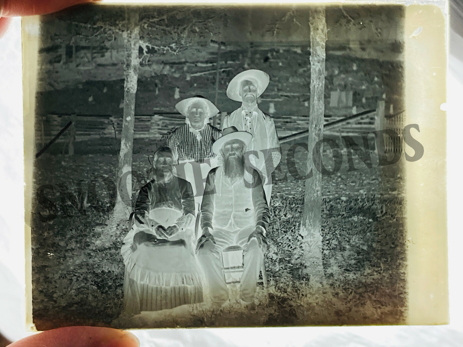 Antique Photo Glass Negative RARE medical oddity GIANT GOITER pioneer family