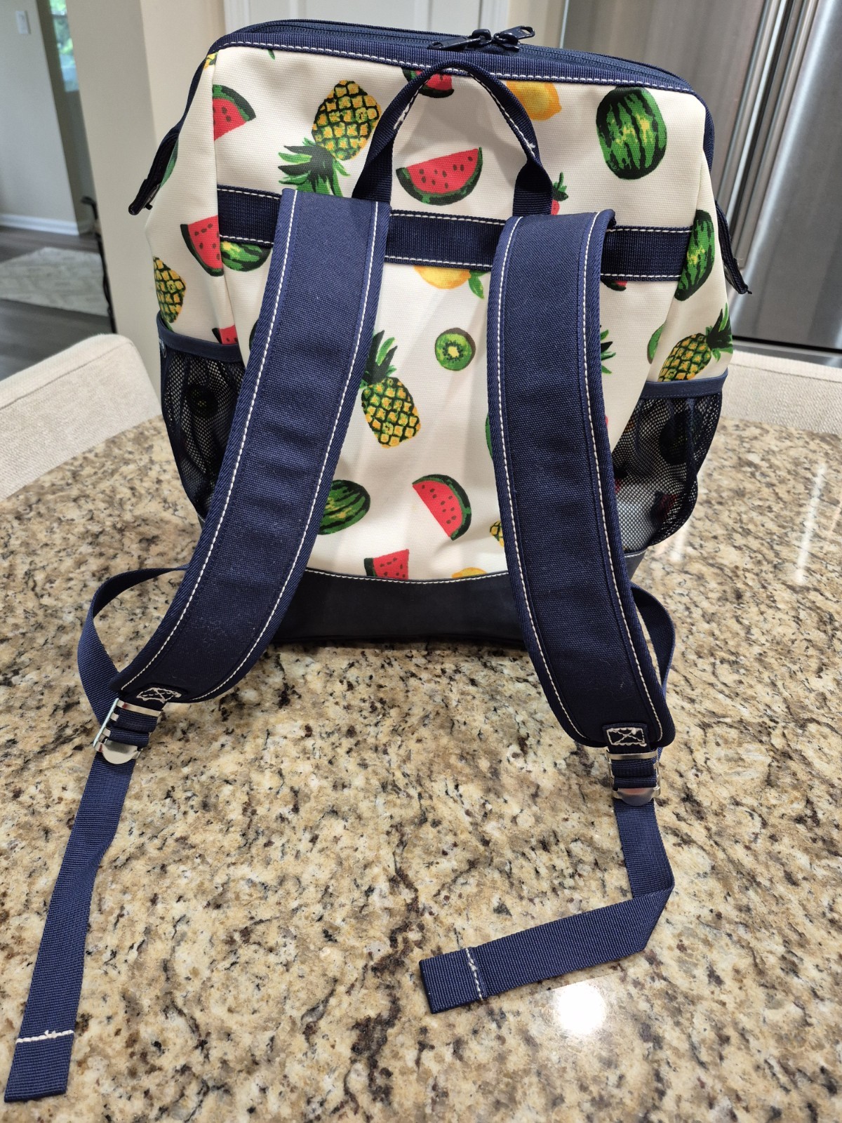 Lands' End Insulated Cooler Backpack Fruit Design
