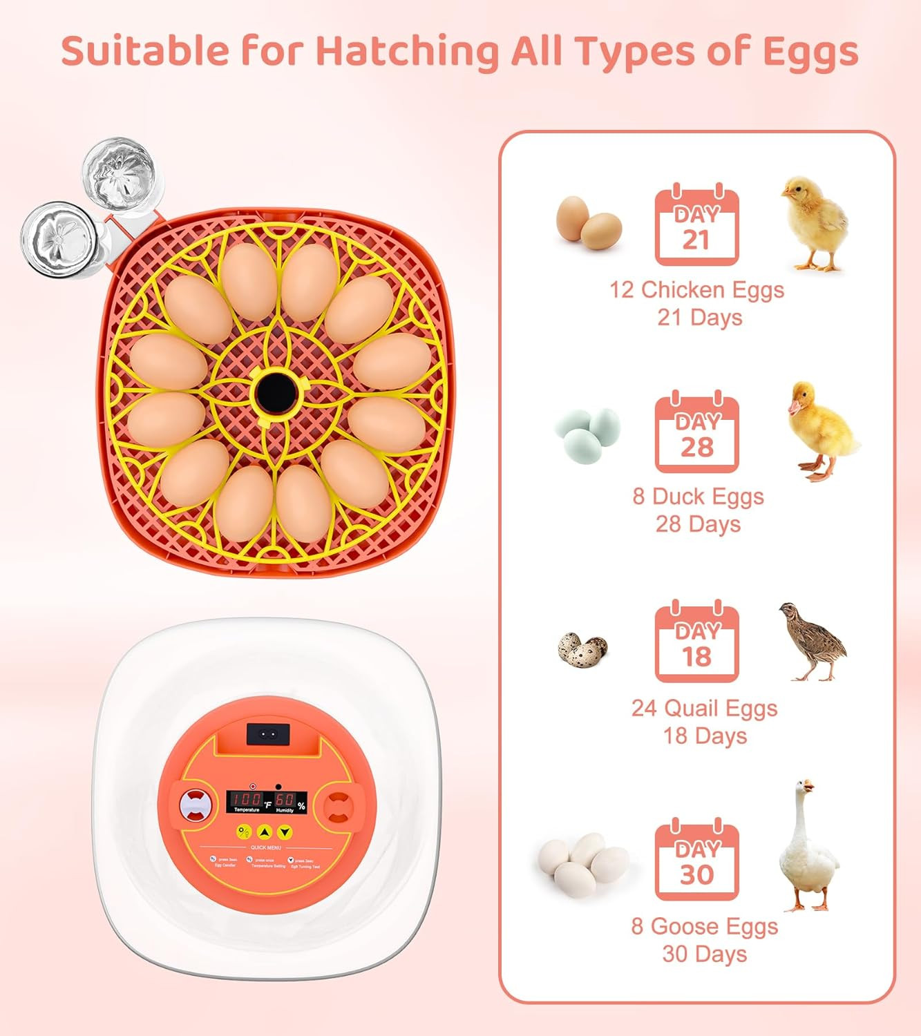 12 Egg Incubator for Hatching Eggs, Smart Temperature and Humidity Control, Auto