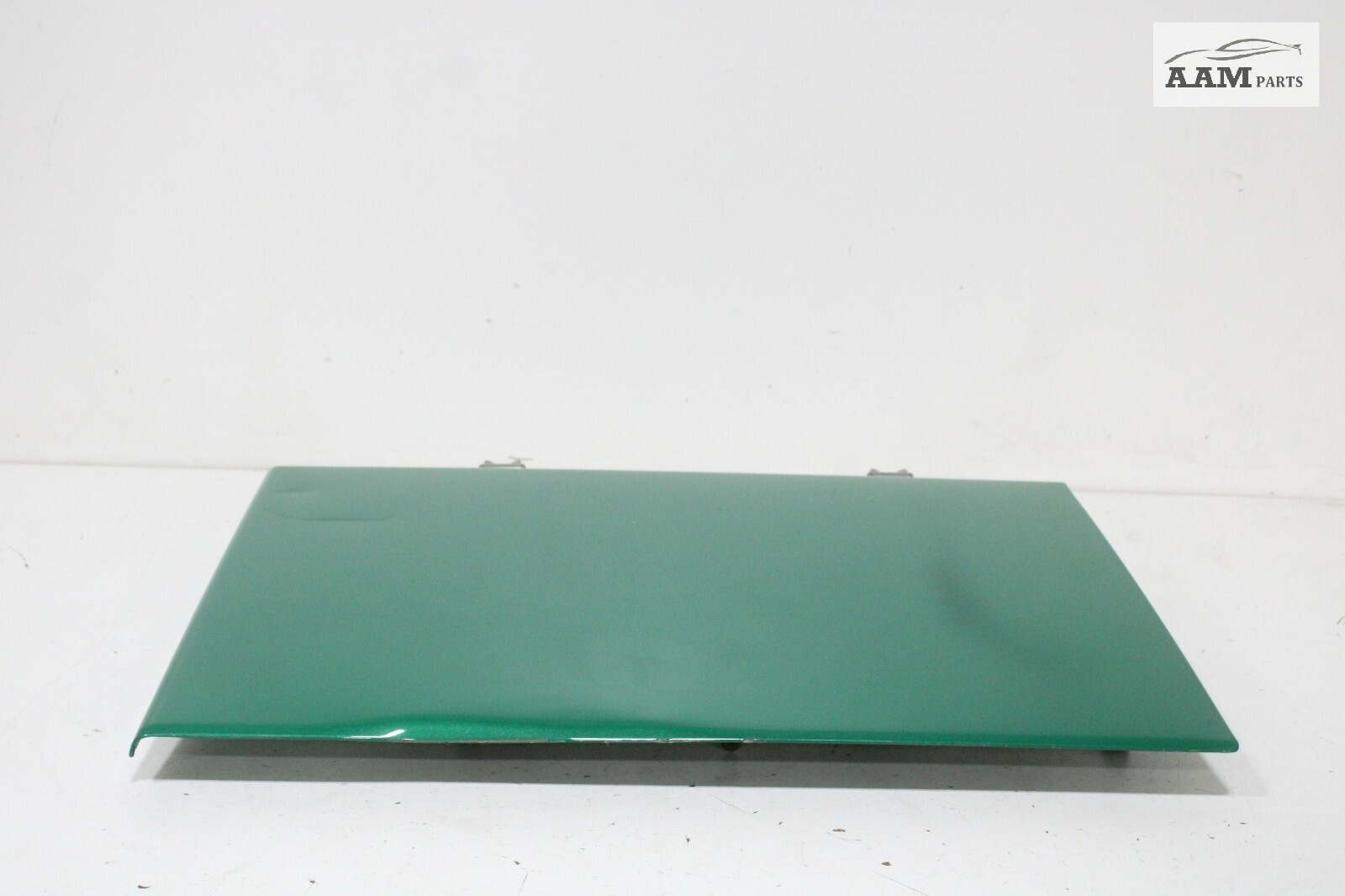 2018-2024 VOLVO VNL 860 REAR RIGHT DOOR COVER PANEL IRISH GREEN MET OEM
