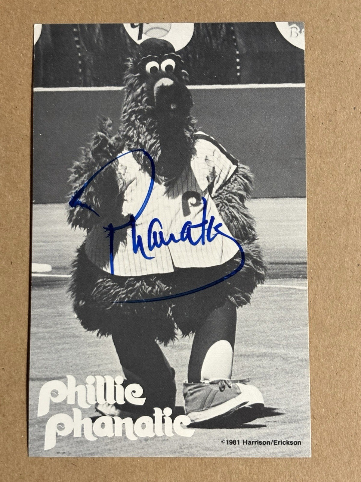 1981 PHILLIE PHANATIC PHILLIES MASCOT SIGNED POSTCARD