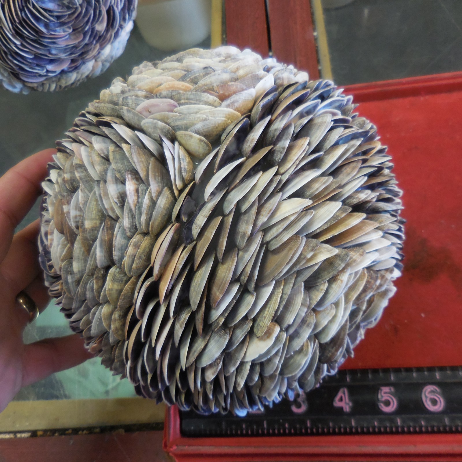 Seashell Orb Sphere Ball 7-inch" Beach Nautical Decor "