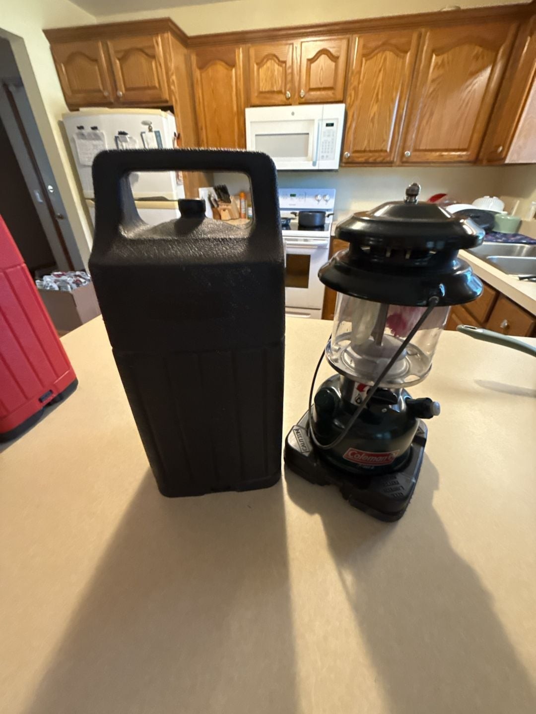 Vintage Coleman Model 288 Two-Mantle Lantern with Carrying Case