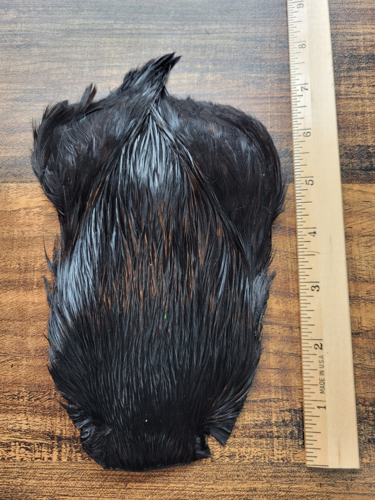 Lot 544, Dyed BLACK India Rooster Streamer Neck Cape Feathers Tying