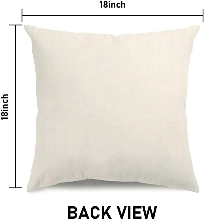 St Patricks Day Pillow Covers 18X18 Happy St Patricks Day Decorations Lucky Char