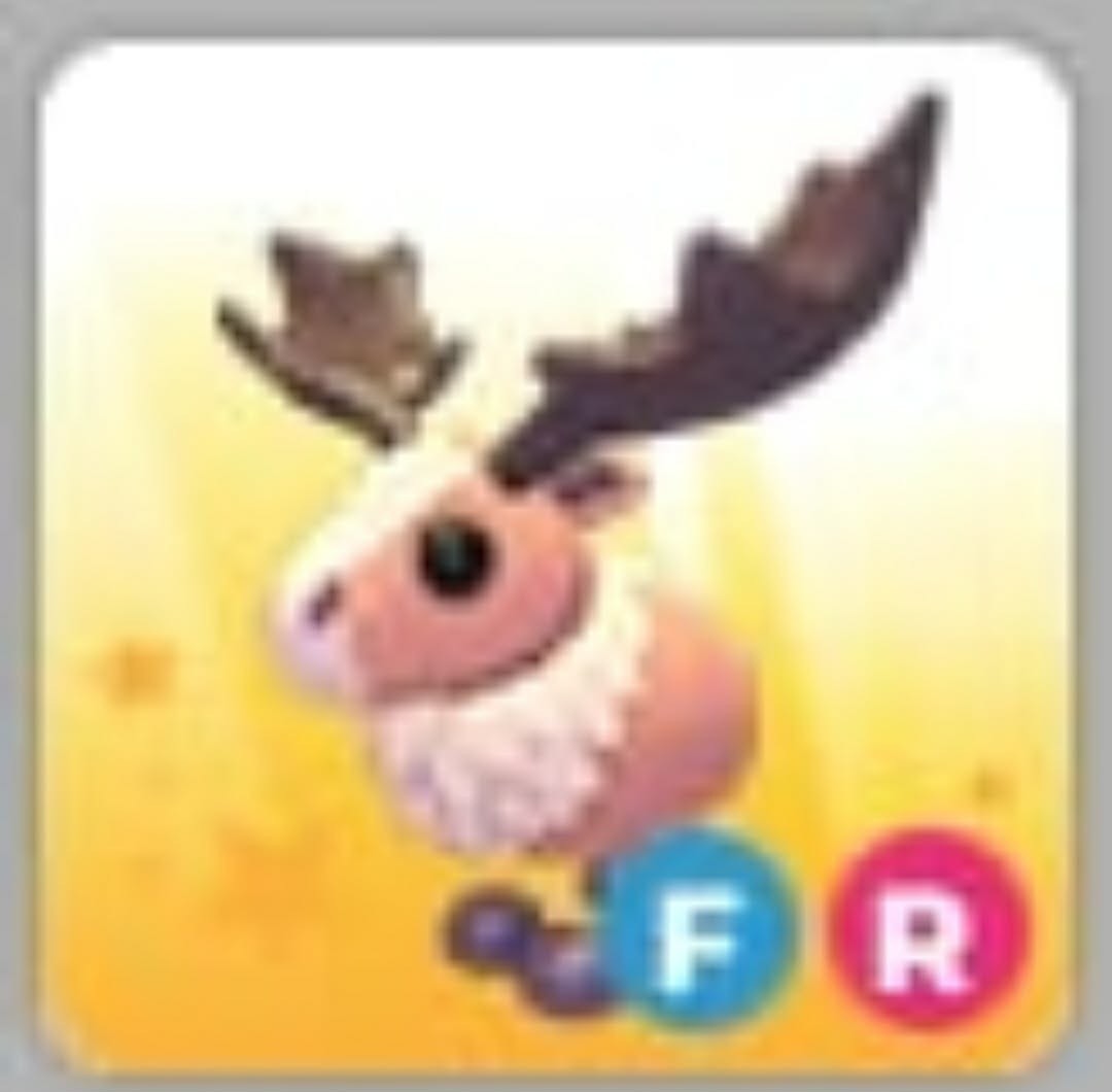 Papa Moose | Adopt Now