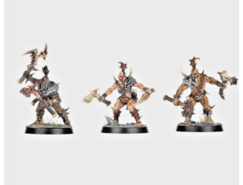 Warhammer AOS Chaos Slaves to Darkness WARCRY UNTAMED BEASTS Plains Runners x3