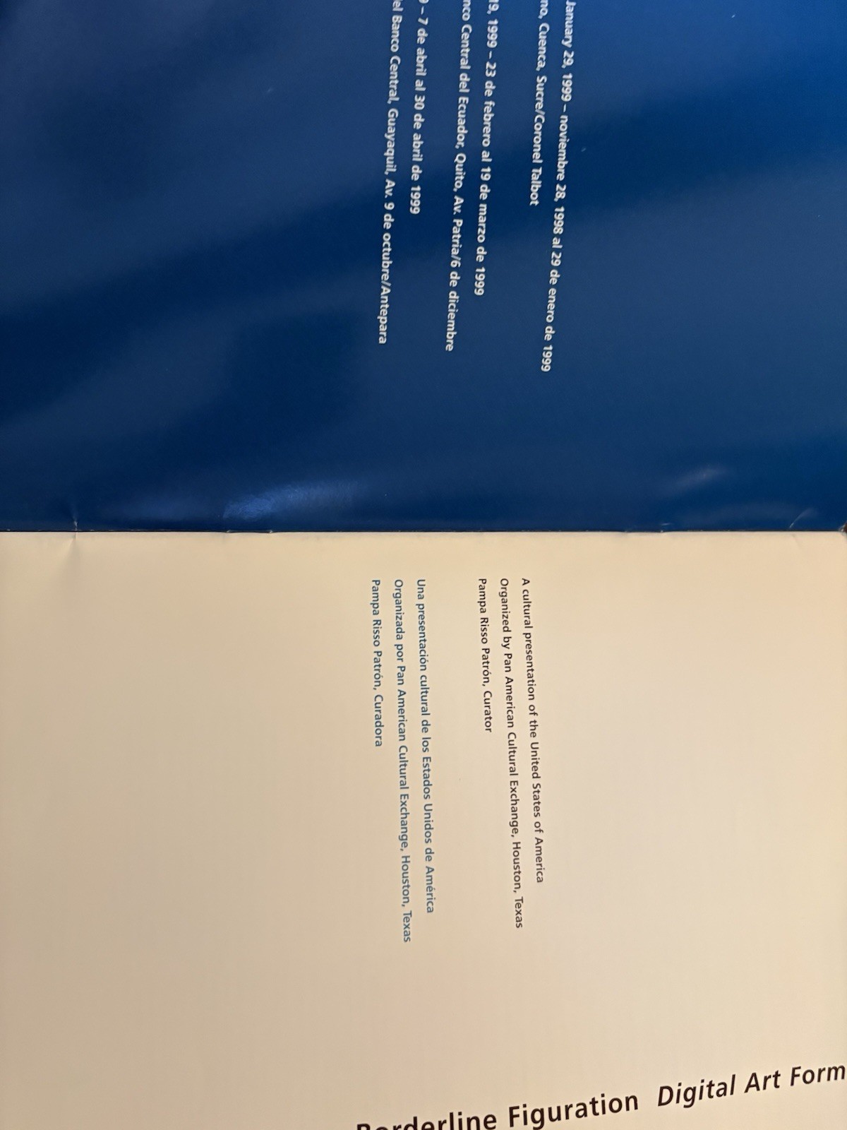 Borderline Figuration Digital Art Forms 1999 Ecuador art exhibition catalog